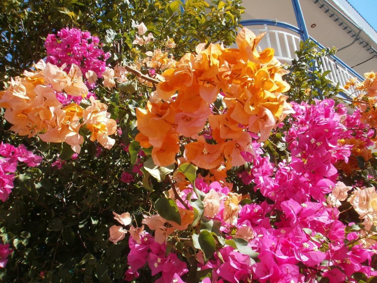 Seaview - Selfcatering Apartment - Helen No 2 Ξηροπήγαδο Εξωτερικό φωτογραφία
